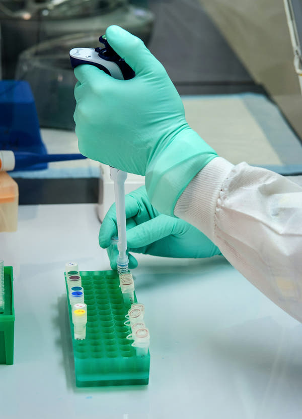A gloved researcher pipetting samples in a laboratory